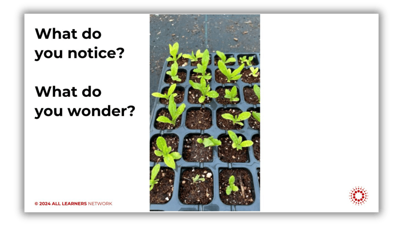 Seedling Tray Image for Blog-1