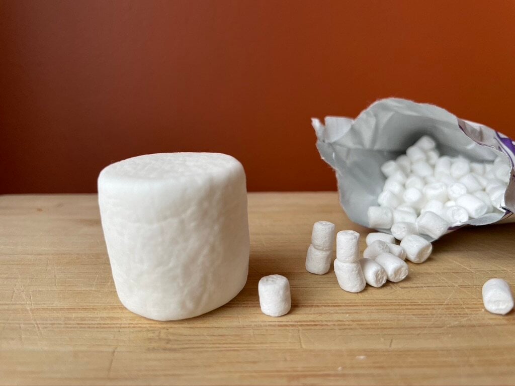 Pick the Mini-Marshmallows — All Learners Network