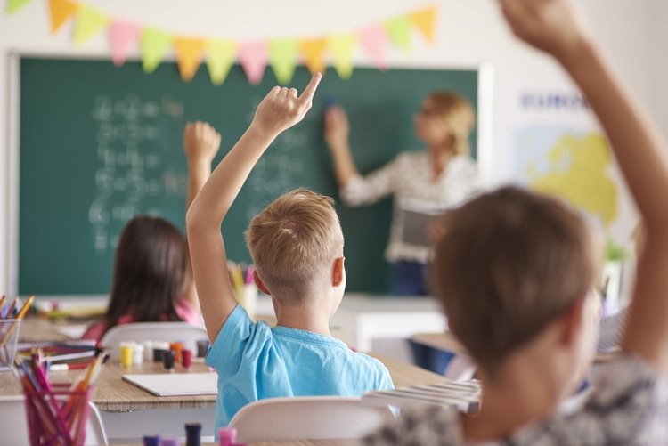 pupils raise their hands